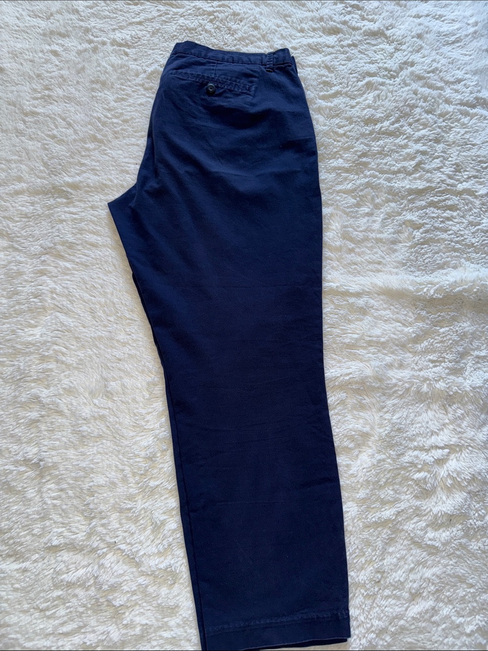 GAP Women's Navy Cropped Chino Pants